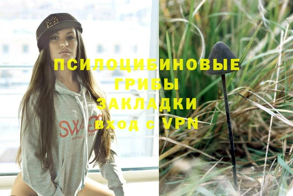 МДПВ Аркадак