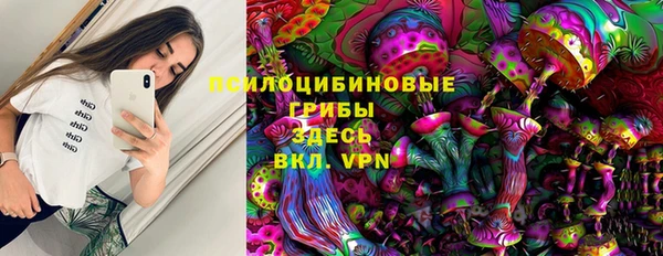 МДПВ Аркадак
