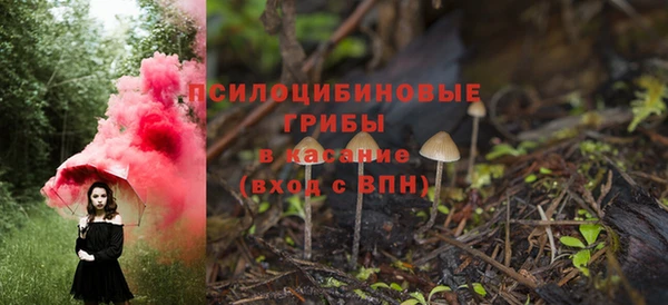 гидропоника Армянск
