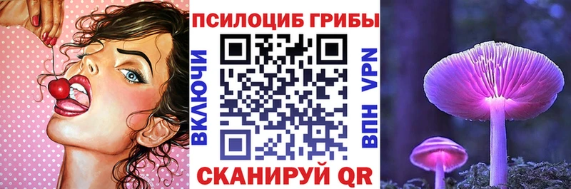 Псилоцибиновые грибы мухоморы Рошаль